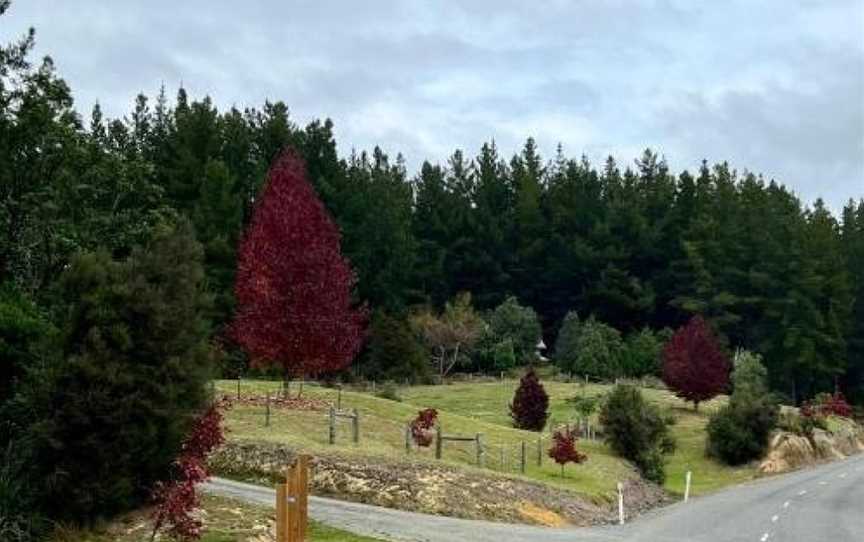 Beech Hill - Pet Friendly Holiday Home, Brown Owl, New Zealand