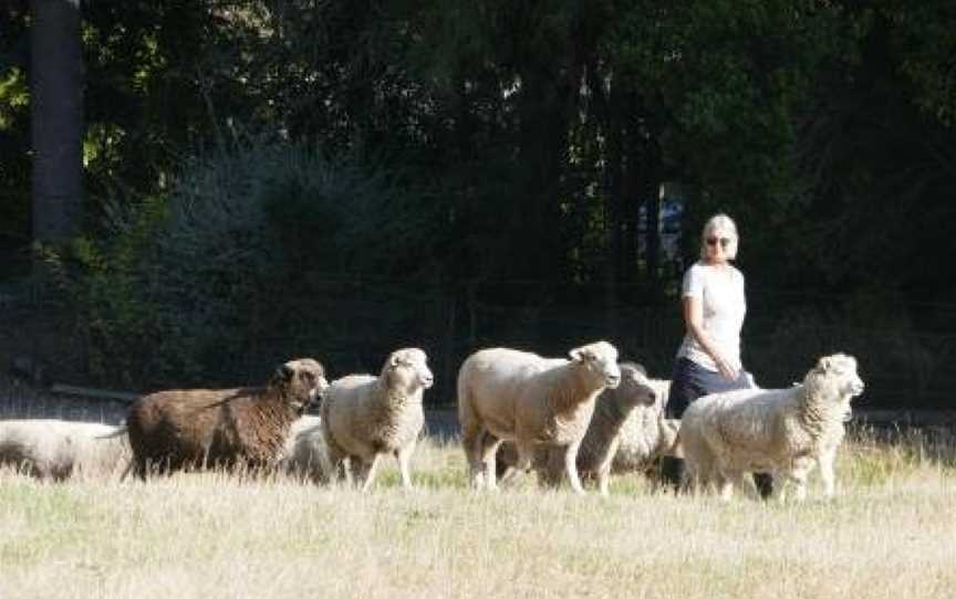 Karetu Downs Farm Stay, Hawarden, New Zealand