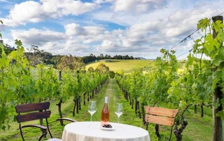 The Nest - Matakana Vineyard Retreat, Highbury (Palmerston North), New Zealand