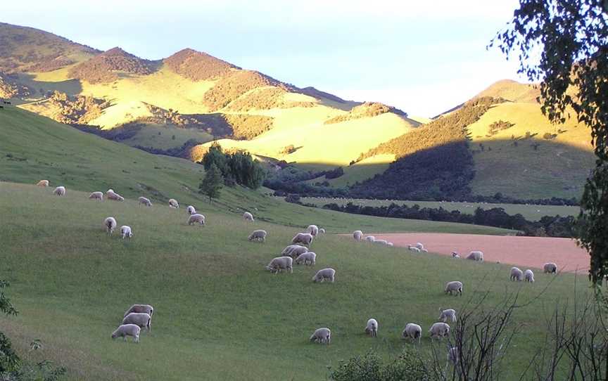 Pahau Downs, Hawarden, New Zealand