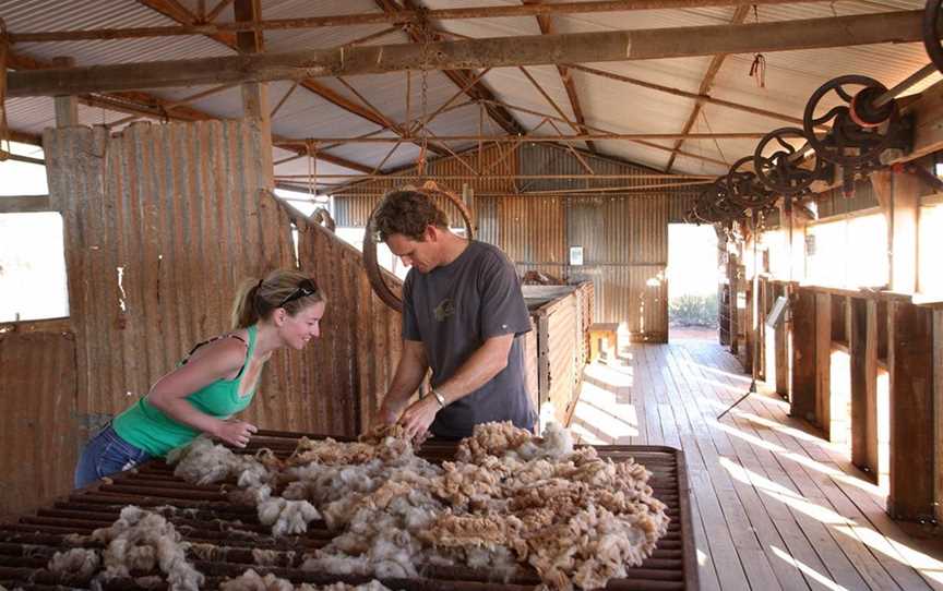 Peron Homestead, Attractions in Denham