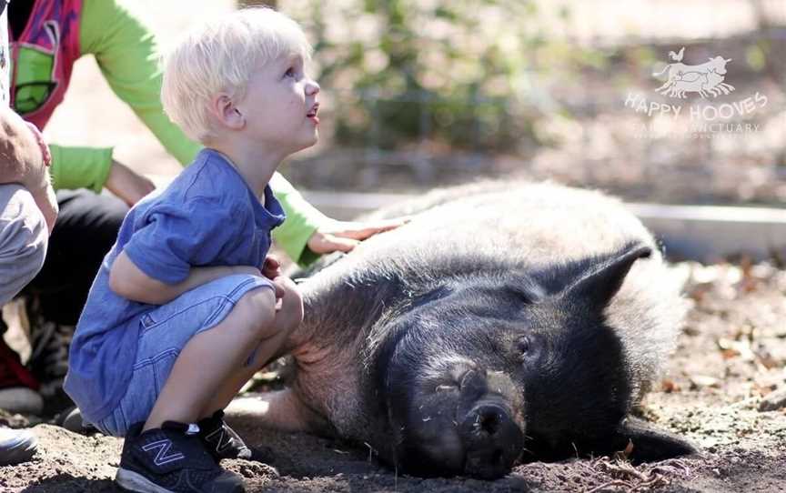 Happy Hooves Farm Sanctuary, Attractions in Gidgegannup