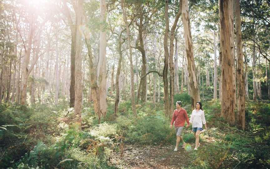 Boranup Karri Forest, Attractions in Boranup