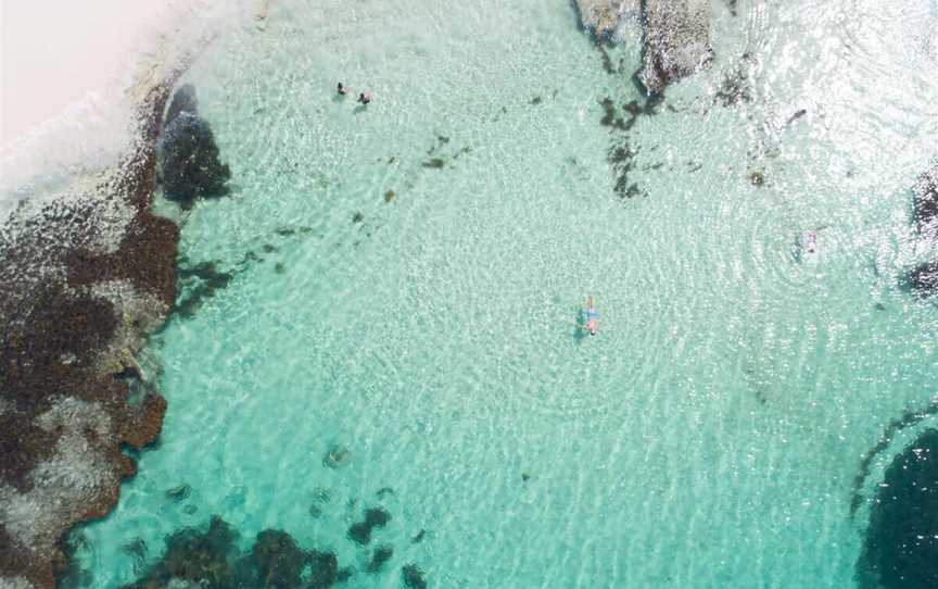 Snorkelling at Little Parakeet Bay, Attractions in Rottnest Island