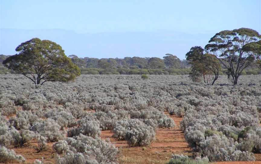 Credo Conservation Park