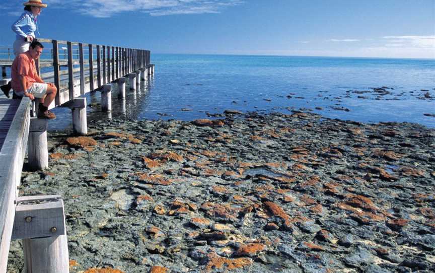 Hamelin Pool Marine Nature Reserve