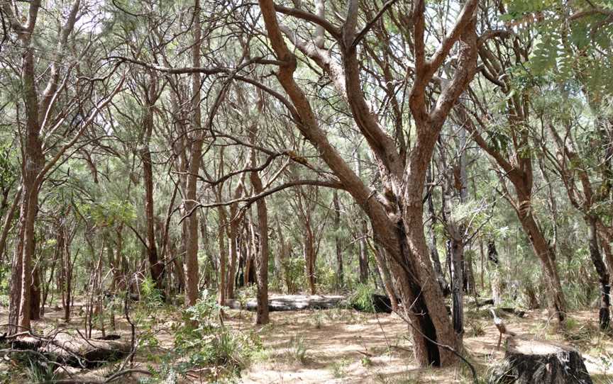 Yelverton National Park