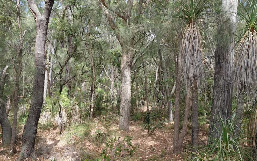 Yelverton National Park