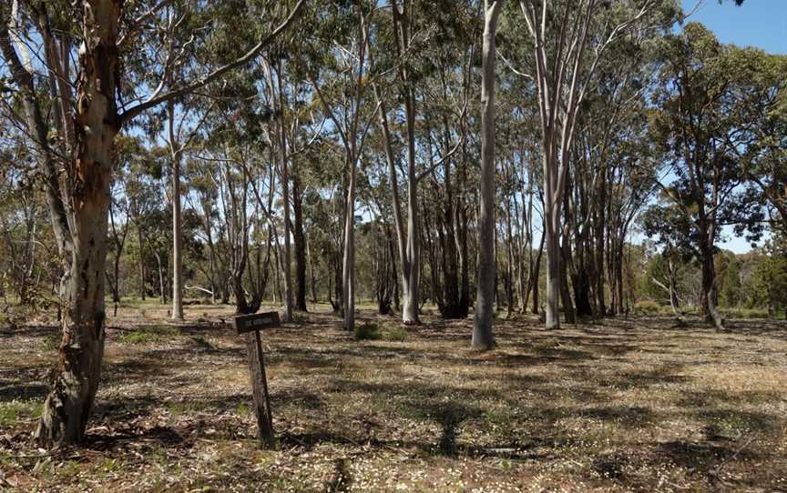 Dryandra Aboretum