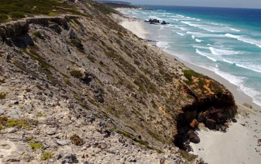 Whalebone Beach