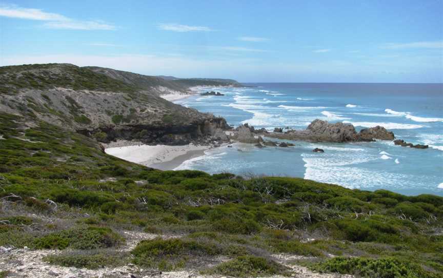 Whalebone Beach