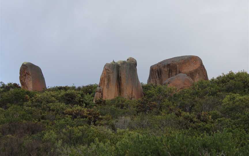 Thistle Cove