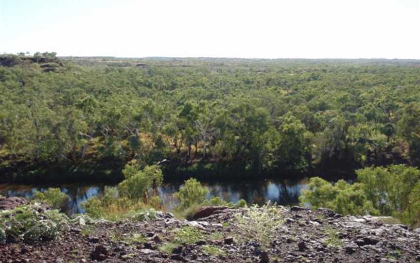 Cliff Lookout