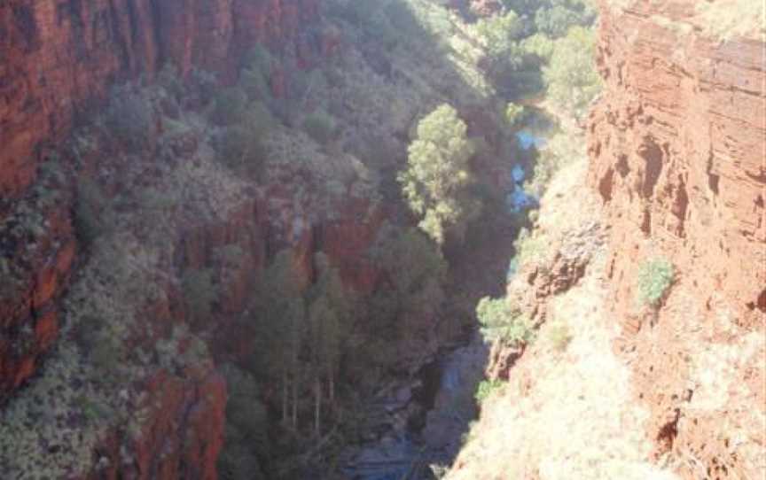 Knox Lookout