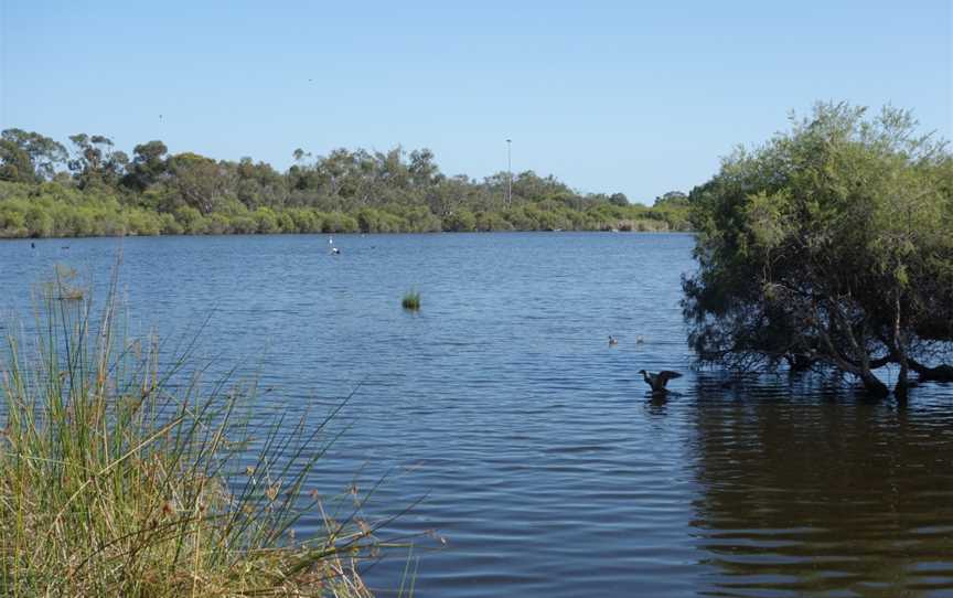 Wilson Wetlands