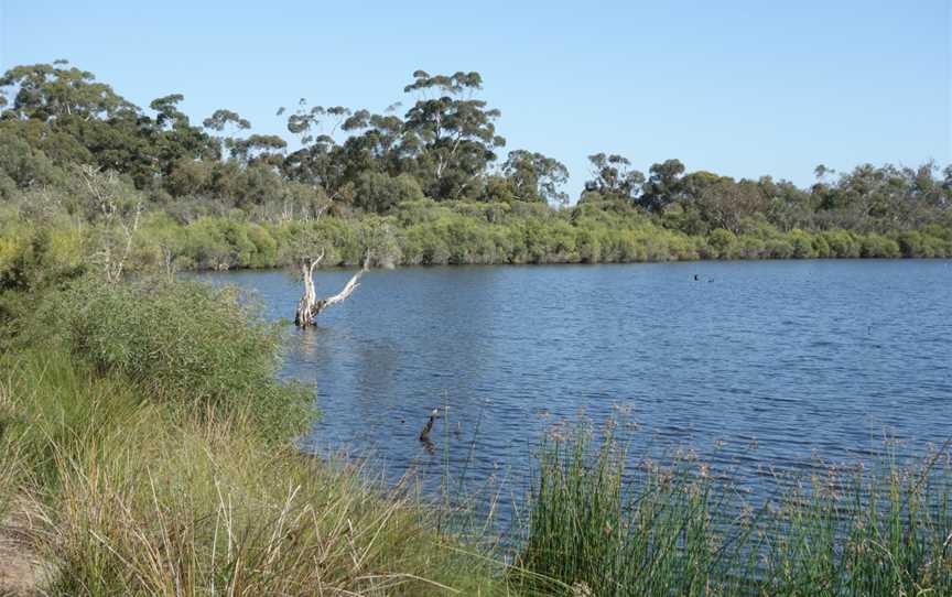 Wilson Wetlands