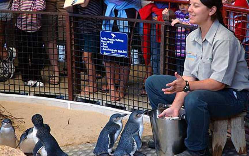 Penguin Island Discovery Centre