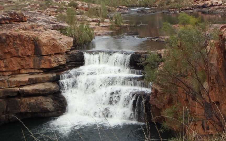 Dalmanyi (Bell Gorge)