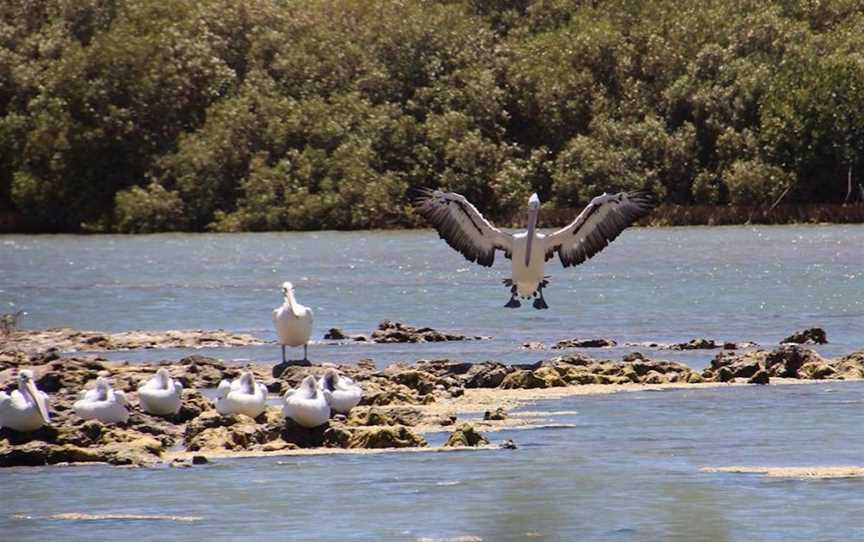 Mangrove Bay, Tourist attractions in Cape Range National Park