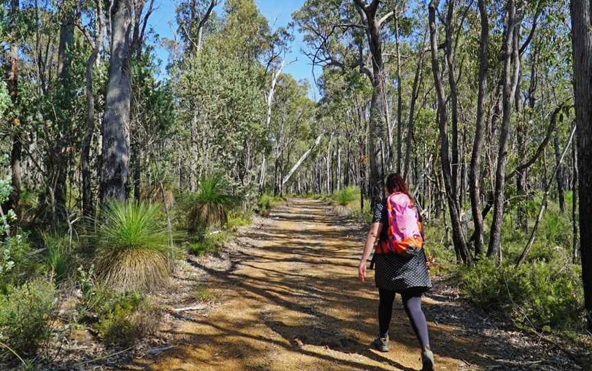 Bungendore Park, Attractions in Bedfordale