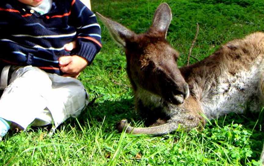 Bunbury Wildlife Park, Attractions in Bunbury