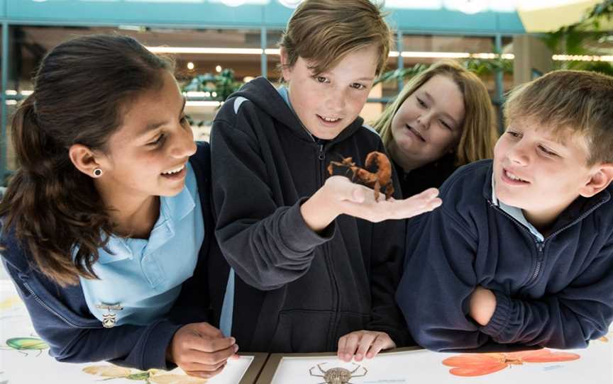 CSIRO Discovery Centre, Acton, ACT