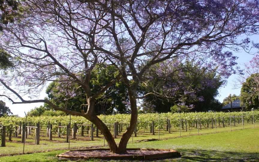 Douglas Vale Historic Homestead & Vineyard, Port Macquarie, NSW