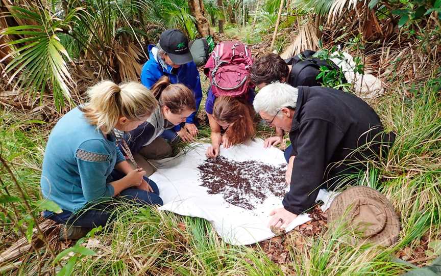 Lord Howe Island Museum, Lord Howe Island, NSW