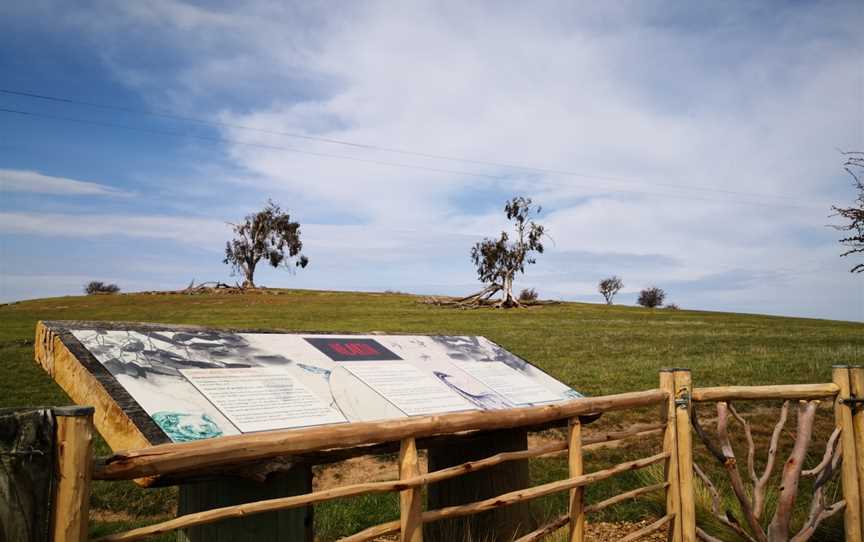 Tasmanian Wool Centre, Ross, TAS