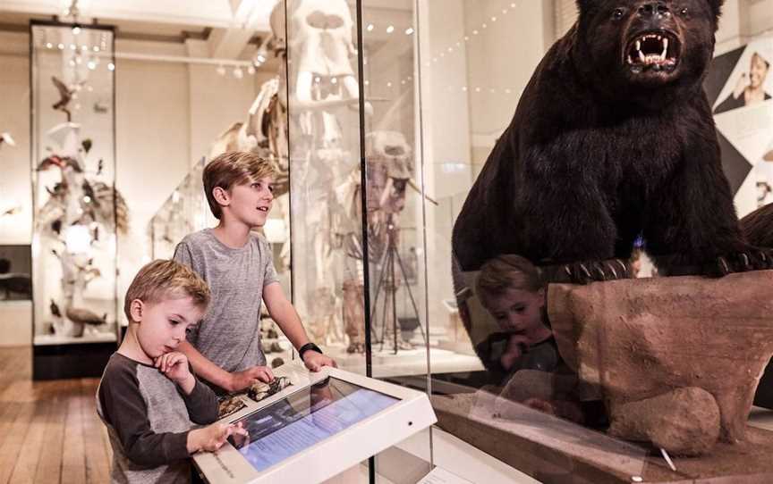 Australian Museum, Tourist attractions in Darlinghurst