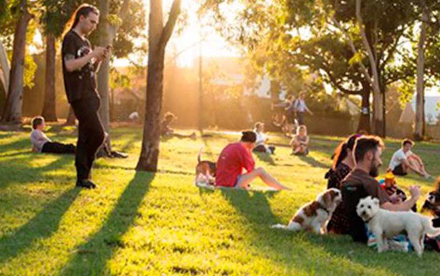 Camperdown Memorial Rest Park, Attractions in Newtown