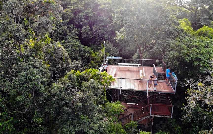 Daintree Discovery Centre, Attractions in Daintree