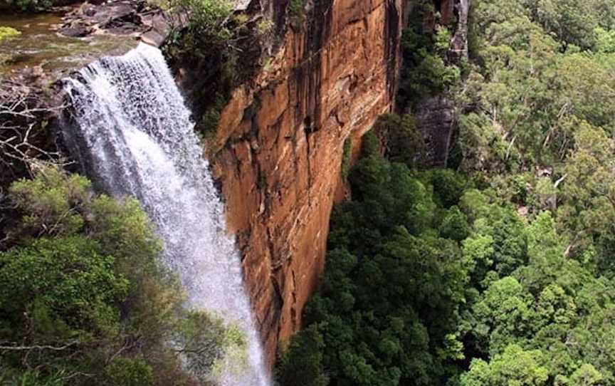 Fitzroy Falls Visitor Centre, Attractions in Fitzroy Falls