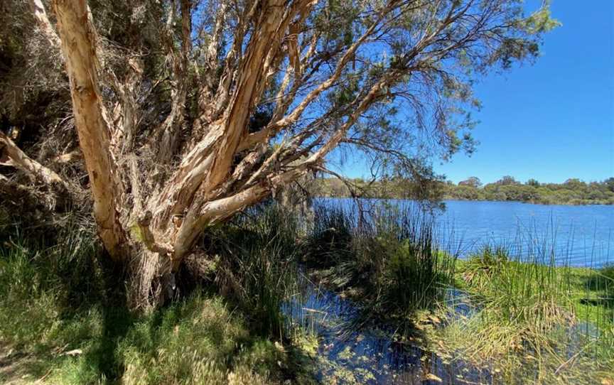 Lake Goollelal, Attractions in Woodvale