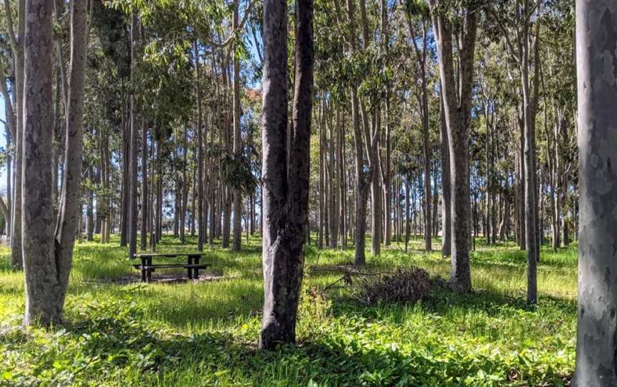 Layman Picnic Site, Tourist attractions in Ludlow