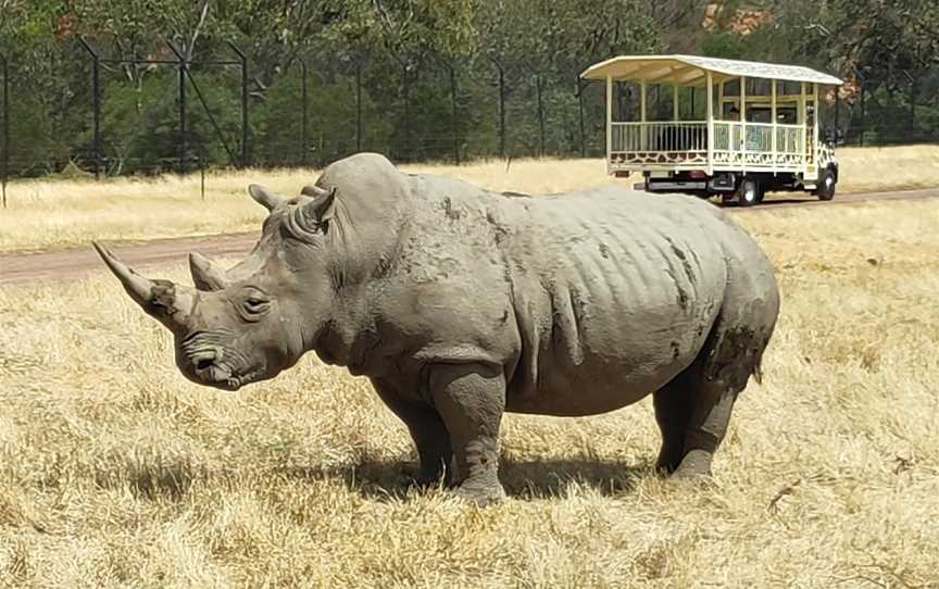 Werribee Open Range Zoo, Werribee South, VIC