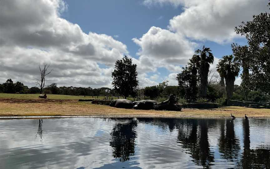 Werribee Open Range Zoo, Werribee South, VIC