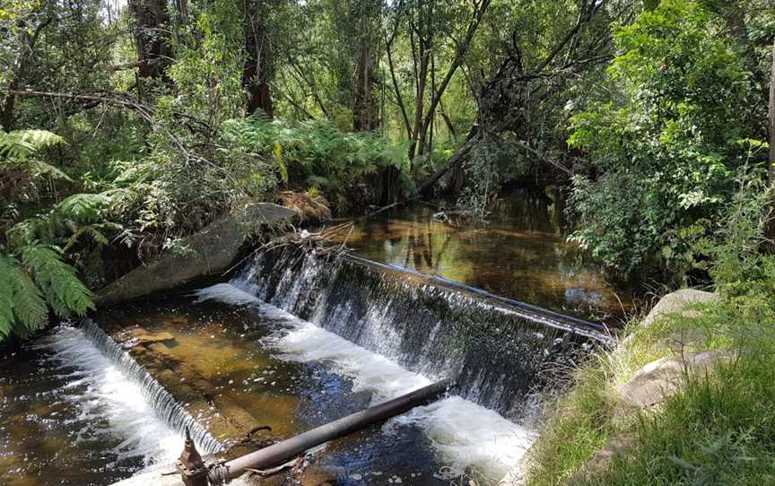 Healesville Sanctuary, Healesville, VIC