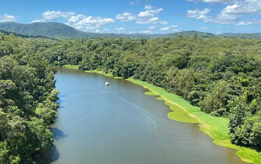 Skyrail Rainforest Cableway, Smithfield, QLD