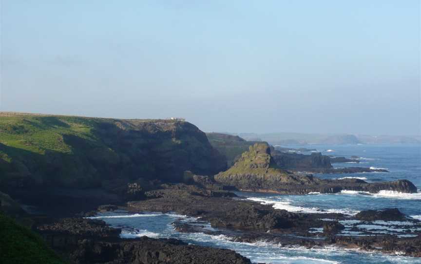 Phillip Island Nature Parks - Penguin Parade, Summerlands, VIC