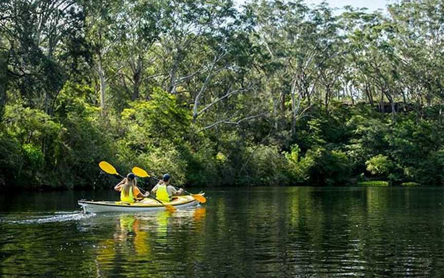 Lane Cove National Park, Lindfield, NSW