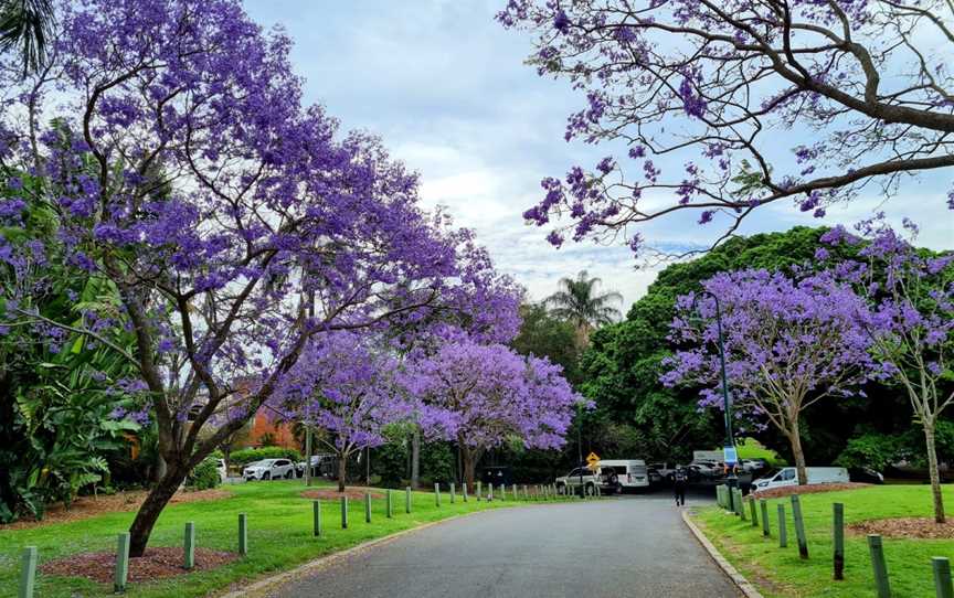 New Farm Park, New Farm, QLD