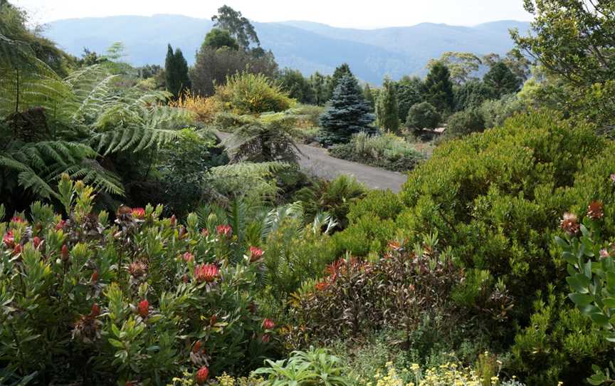 Blue Mountains Botanic Garden, Mount Tomah, NSW