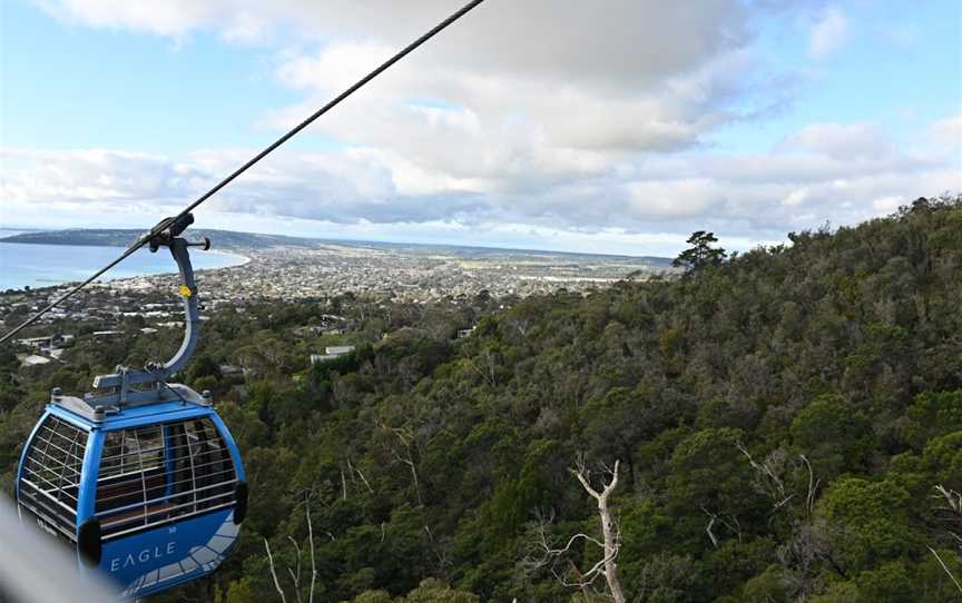 Arthurs Seat Eagle - Summit Station, Arthurs Seat, VIC