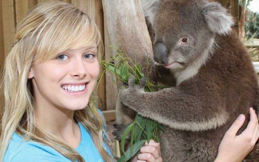 Maru Koala and Animal Park, Grantville, VIC