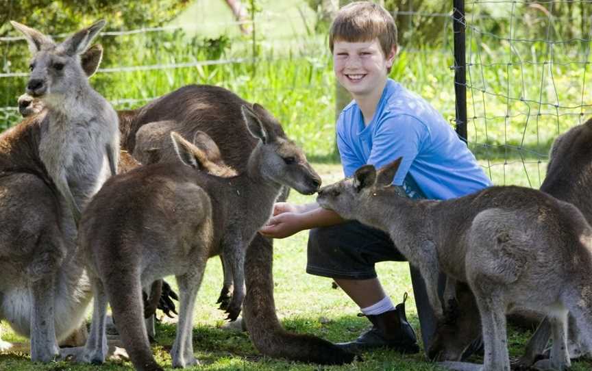 Maru Koala and Animal Park, Grantville, VIC