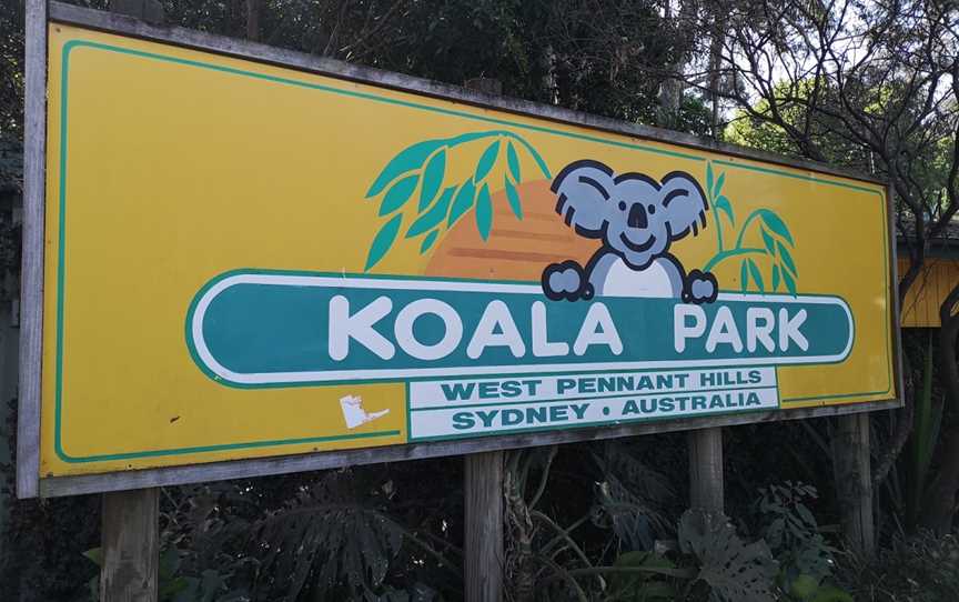 Koala Park Sanctuary Sydney, West Pennant Hills, NSW