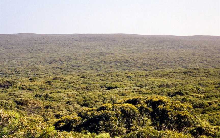 Flinders Chase National Park, Kangaroo Island, SA