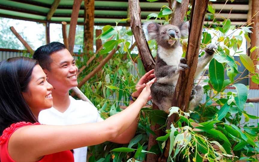 Oakvale Wildlife Park, Salt Ash, NSW