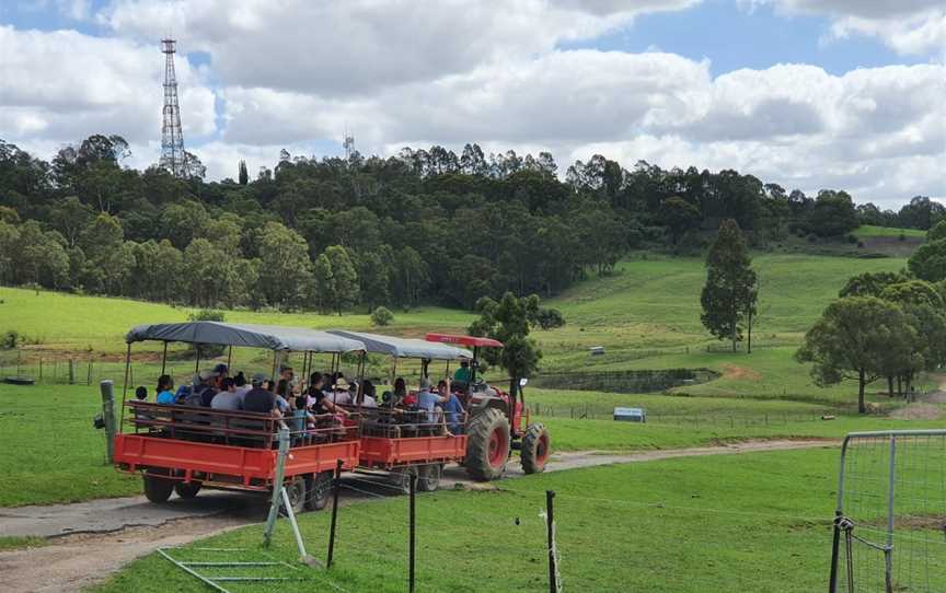 Calmsley Hill City Farm, Abbotsbury, NSW